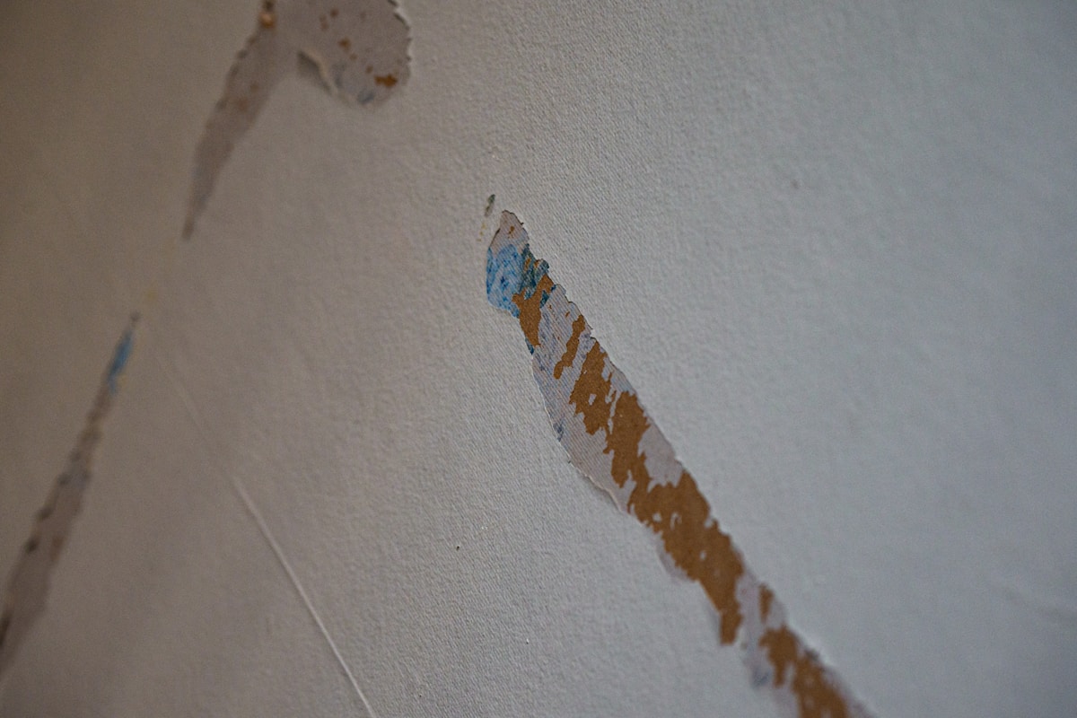 Structural Drying service in Waterloo, IA